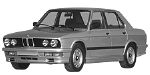 BMW E28 P2486 Fault Code